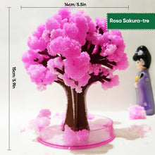 Last inn bildet i Galleri-visningsprogrammet, 3 i 1 Mini julgran magi vÀxande