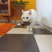 Last inn bildet i Galleri-visningsprogrammet, Berøring og lyd katteleke