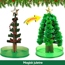 Last inn bildet i Galleri-visningsprogrammet, 3 i 1 Mini julgran magi vÀxande