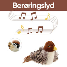 Last inn bildet i Galleri-visningsprogrammet, Berøring og lyd katteleke