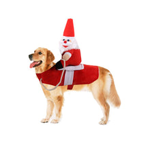 Last inn bildet i Galleri-visningsprogrammet, Pet Horse Riding Costume