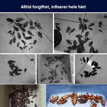 Last inn bildet i Galleri-visningsprogrammet, Trygg kakerlakkavvisende essensiell olje