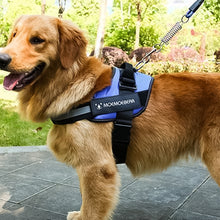 Last inn bildet i Galleri-visningsprogrammet, Reflekterende alt-i-ett hundesele uten trekkfunksjon