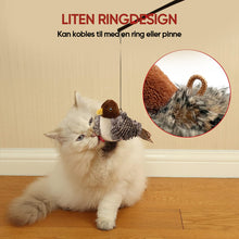 Last inn bildet i Galleri-visningsprogrammet, Berøring og lyd katteleke