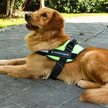 Last inn bildet i Galleri-visningsprogrammet, Reflekterende alt-i-ett hundesele uten trekkfunksjon