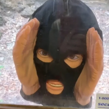 Last inn bildet i Galleri-visningsprogrammet, Skremmende Peeper Creeper