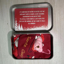 Last inn bildet i Galleri-visningsprogrammet, Bamse julegave