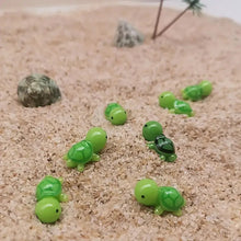 Last inn bildet i Galleri-visningsprogrammet, Du er den besteTurtle