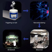Last inn bildet i Galleri-visningsprogrammet, Trygg kakerlakkavvisende essensiell olje