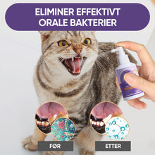 Last inn bildet i Galleri-visningsprogrammet, Tannrensespray for hunder og katter