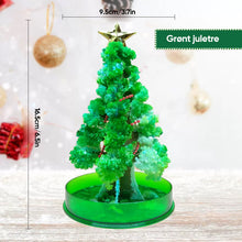 Last inn bildet i Galleri-visningsprogrammet, 3 i 1 Mini julgran magi vÀxande