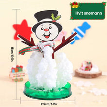 Last inn bildet i Galleri-visningsprogrammet, 3 i 1 Mini julgran magi vÀxande