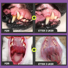 Last inn bildet i Galleri-visningsprogrammet, Tannrensespray for hunder og katter