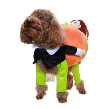 Last inn bildet i Galleri-visningsprogrammet, Søte gresskarklær til kjæledyr