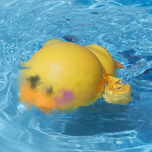 Last inn bildet i Galleri-visningsprogrammet, Svømmende pingvin