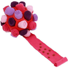 Last inn bildet i Galleri-visningsprogrammet, Hundeleketøy