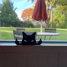 Last inn bildet i Galleri-visningsprogrammet, Rude Cat langfinger prank