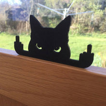 Last inn bildet i Galleri-visningsprogrammet, Rude Cat langfinger prank