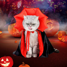 Last inn bildet i Galleri-visningsprogrammet, Halloween Dracula kjæledyrkostyme
