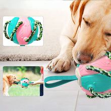 Last inn bildet i Galleri-visningsprogrammet, Tyggbar skvisbar UFO-ball for hund