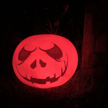 Last inn bildet i Galleri-visningsprogrammet, Oppblåsbart LED-lys-opp vanntett øyeeplegresskar