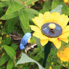 Last inn bildet i Galleri-visningsprogrammet, Dancing Hummingbird With Sunflower