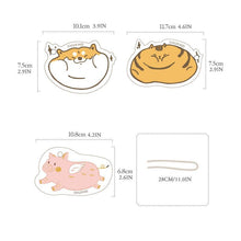 Last inn bildet i Galleri-visningsprogrammet, Vaskesvamp i komprimert tremasse