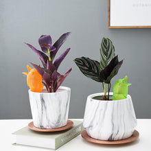 Last inn bildet i Galleri-visningsprogrammet, Automatisk vanningsenhet for planter i småfugldesign