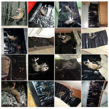 Last inn bildet i Galleri-visningsprogrammet, Sense Musefelle