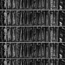 Last inn bildet i Galleri-visningsprogrammet, Sense Musefelle