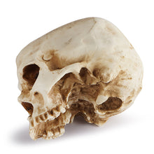 Last inn bildet i Galleri-visningsprogrammet, Håndlaget blomsterpotte med hodeskalle