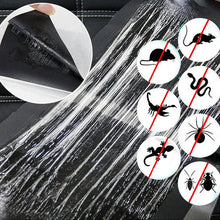 Last inn bildet i Galleri-visningsprogrammet, Sense Musefelle