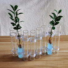 Last inn bildet i Galleri-visningsprogrammet, Hengslet blomstervase (6 stk/8 stk)