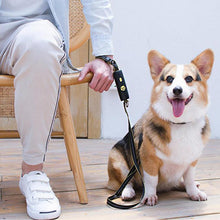 Last inn bildet i Galleri-visningsprogrammet, Easy Lock Dog Refleksbånd