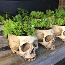 Last inn bildet i Galleri-visningsprogrammet, Håndlaget blomsterpotte med hodeskalle