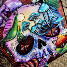 Last inn bildet i Galleri-visningsprogrammet, Skjult nøkkelboks for hodeskalle og natur