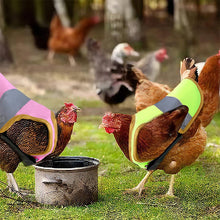 Last inn bildet i Galleri-visningsprogrammet, Justerbar kyllingsele Refleksvest for høne kjæledyr