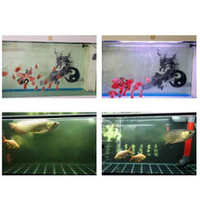 Last inn bildet i Galleri-visningsprogrammet, Eco-akvarium Vannrenser Kube