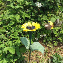 Last inn bildet i Galleri-visningsprogrammet, Dancing Hummingbird With Sunflower