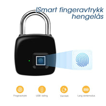 Last inn bildet i Galleri-visningsprogrammet, Fingeravtrykk hengelås