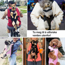 Last inn bildet i Galleri-visningsprogrammet, Ryggsekk for Kjæledyr