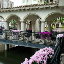 Last inn bildet i Galleri-visningsprogrammet, Violetter Blumenampel der Simulation