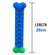 Last inn bildet i Galleri-visningsprogrammet, Hunde Tygge Tannbørste | Tenn rengjørings Leketøy