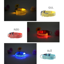 Last inn bildet i Galleri-visningsprogrammet, LED lysende hundehalsbÄnd