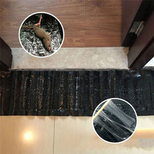 Last inn bildet i Galleri-visningsprogrammet, Sense Musefelle