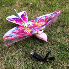 Last inn bildet i Galleri-visningsprogrammet, E-fugleleke for barn