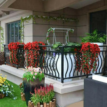 Last inn bildet i Galleri-visningsprogrammet, Violetter Blumenampel der Simulation