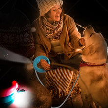 Last inn bildet i Galleri-visningsprogrammet, Uttrekkbart hunde-autotrekkbånd med LED-nattlys