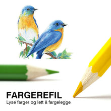 Last inn bildet i Galleri-visningsprogrammet, Bærbart sett med fargeblyanter