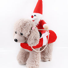 Last inn bildet i Galleri-visningsprogrammet, Pet Horse Riding Costume